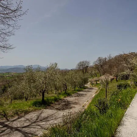 Tenuta Santojanni - Irpinia